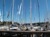 Plenty of yachts in Sandhamn